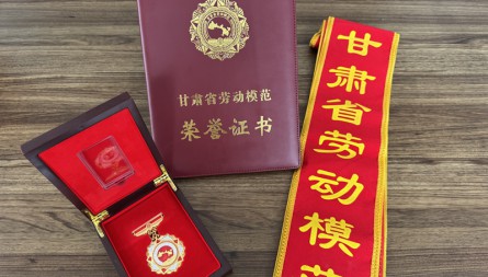甘肅物流集團(tuán)吳消滔同志獲評(píng)“甘肅省勞動(dòng)模范”